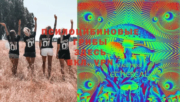мдпв Белокуриха
