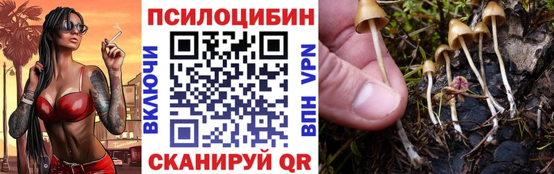 hydra сайт  Югорск  Галлюциногенные грибы MAGIC MUSHROOMS 